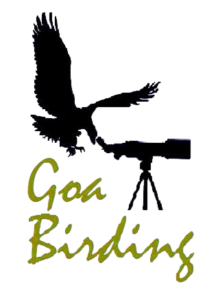 Goabirding logo